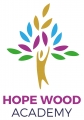 Hope Wood Academy 